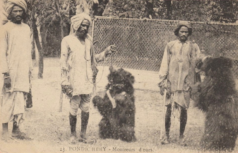 15-13 - Pondichery - montreurs d'ours